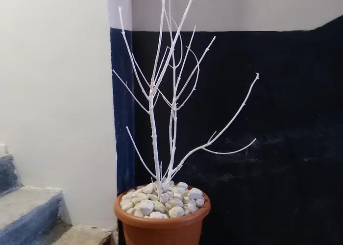 Apartamento Via Garibaldi Ten,10 Centro