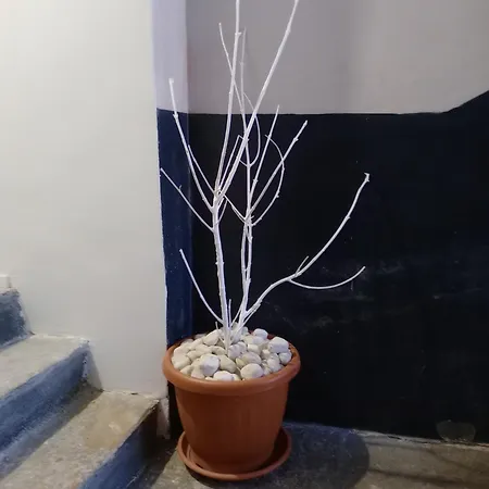 Апартаменты Via Garibaldi Ten,10 Centro